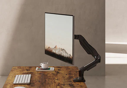 A single monitor displays a scenic landscape on a wooden desk