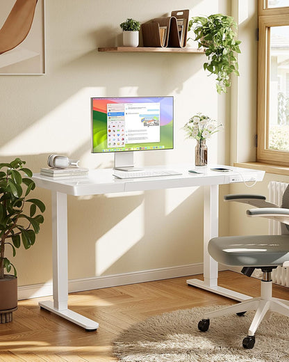 Glass Standing Desk with Drawer