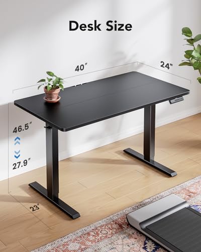 HUANUO HNESD Electric Standing Desk Adjustable Height