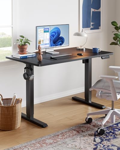 HUANUO HNESD Electric Standing Desk Adjustable Height