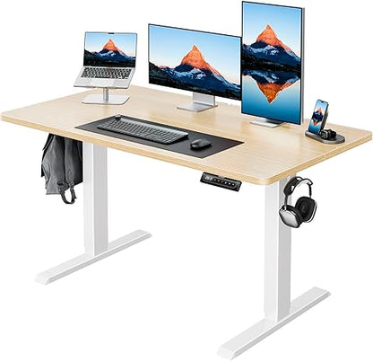 HUANUO HNESD Electric Standing Desk Adjustable Height