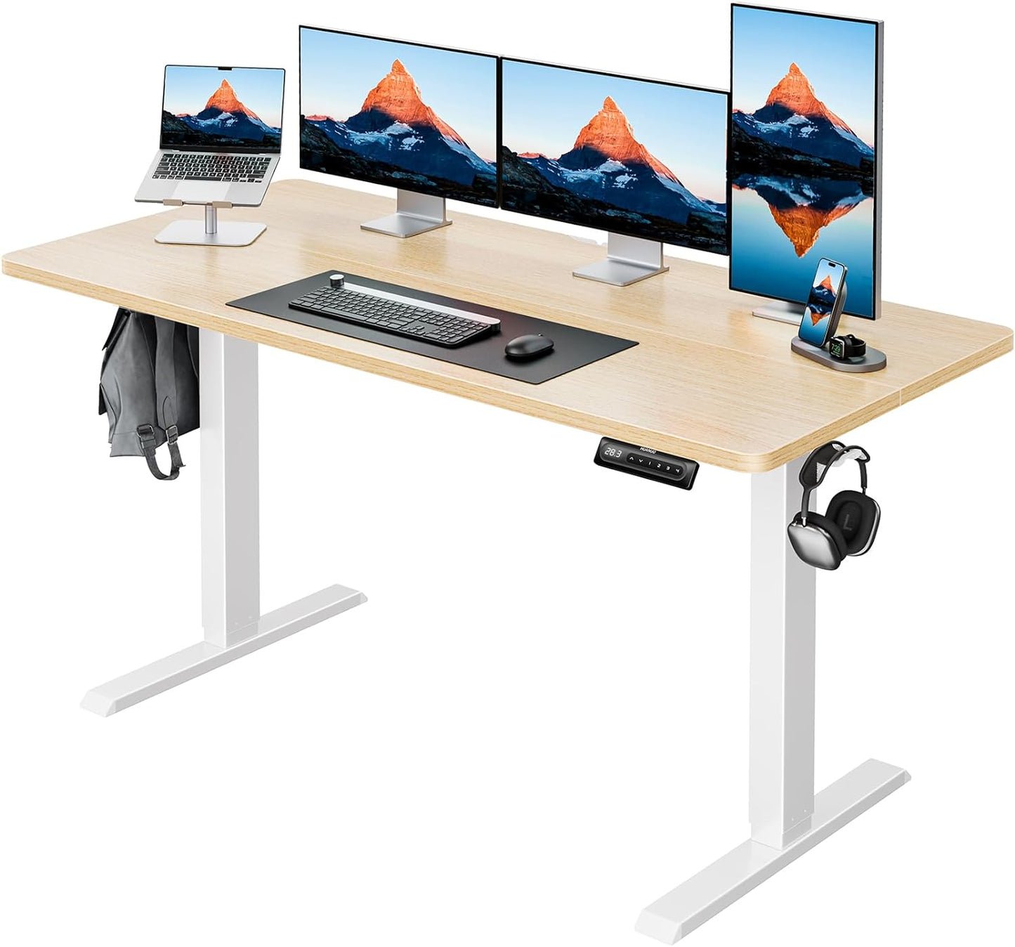 HUANUO HNESD Electric Standing Desk More