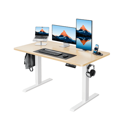 HUANUO HNESD Electric Standing Desk Adjustable Height