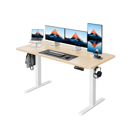 HUANUO HNESD Electric Standing Desk Adjustable Height