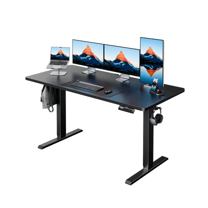 HUANUO HNESD Electric Standing Desk Adjustable Height