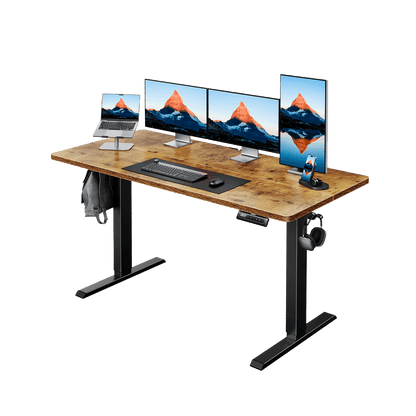 HUANUO HNESD Electric Standing Desk Adjustable Height