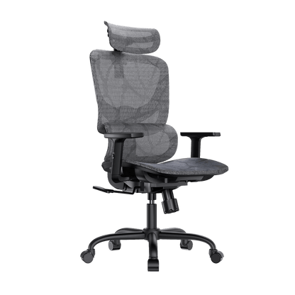 ErgoPlus Mesh Office Chair