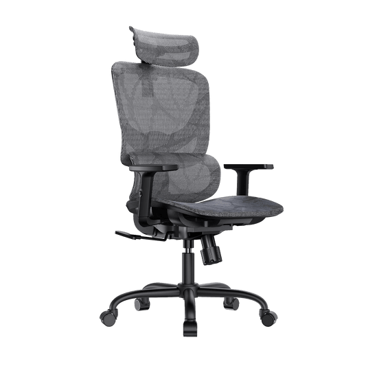 ErgoPlus Mesh Office Chair