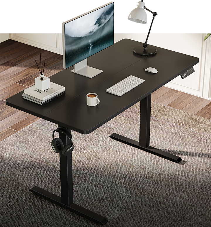 HUANUO HNESD Electric Standing Desk Adjustable Height